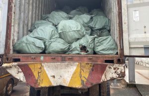 Nigeria Customs intercepts 13.6kg dry donkey skin worth N3.6 billion – Official Agency report