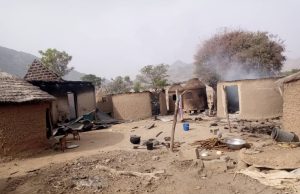 Group pushes for security watch committee in 774 councils