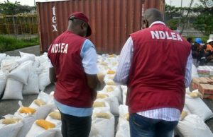 NDLEA intercepts 53,520kg of illicit drugs worth over N777 million in first half of 2025 in Edo