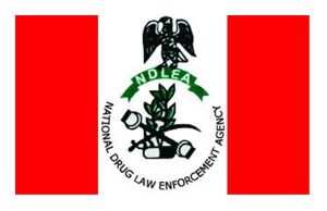 NDLEA raises concern over rising female drug abuse in Delta