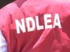 AU commission extols NDLEA’s pivotal role in drug control, crime prevention