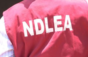 NDLEA seizes 1.26 tons of drugs in Enugu