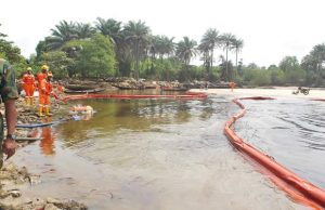 HYPREP report shows significant progress in Ogoni mangrove, shoreline cleanup