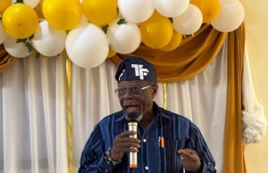 Education is new liberation struggle, Falola tells African leaders