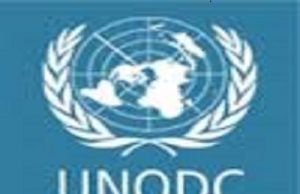 Global instability fuels record drug use, organised crime