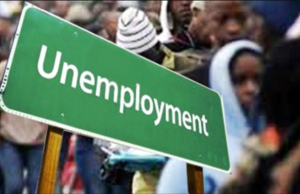 ECOWAS MP flags West Africa’s youth unemployment as among world’s highest at 24.95%