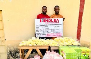 NDLEA seizes over 1 million opioid pills in Bauchi, intercepts cannabis, meth in Kaduna, Abuja