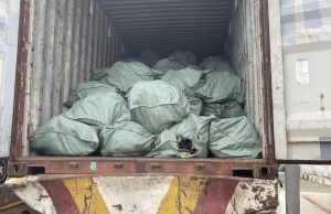 Customs intercepts N3.6 billion worth of donkey skin meant for illegal export in Owerri