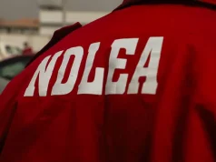 NDLEA busts Colorado cannabis lab in Ibadan, seizes drugs nationwide