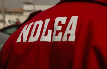 NDLEA busts Colorado cannabis lab in Ibadan, seizes drugs nationwide