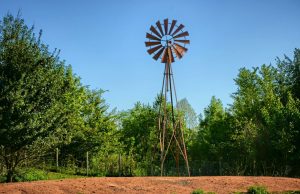 Petlong Dakhling: Why You Should Care About Climate Change as a Nigerian