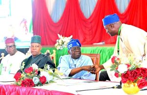 Tinubu rallies governors to performance, lures North with slots
