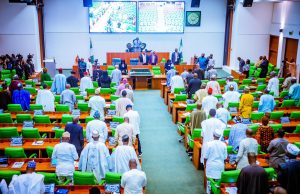 House of Reps pushes e-governance bill to transform public service delivery