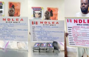 NDLEA arrests wanted drug kingpin after 7 years, seizes 101,150kg of illicit drugs in 13 states