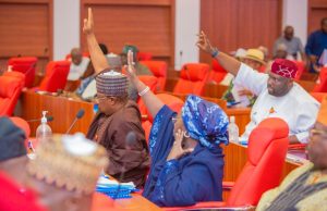 Senate probes Ponzi schemes in Nigeria, loss of N1.3trn by Nigerians to CBEX