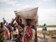 1.3m Nigerians face starvation as aid cuts push WFP toward shutdown