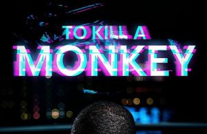 Bashirat Sulyman: My First Thoughts After Watching ‘To Kill a Monkey’