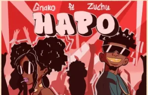 G Nako – Hapo Ft. Zuchu (Mp3 Download)