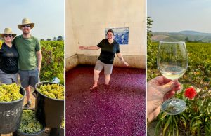 How You Can Stomp Grapes in the Douro Valley in Portugal