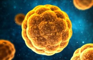 Kano declares hepatitis a major health burden amid 1.2m infections