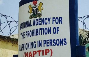NAPTIP engages Ogun school principals to curb human trafficking