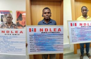 NDLEA arrests drug kingpin, intercepts 722,875 opioid pills, cocaine in Lagos