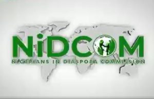 US group faults NIDCOM over ‘wasteful’ Diaspora Day celebration