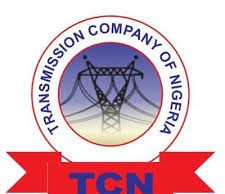 Suspected transmission tower vandal electrocuted in Ebonyi