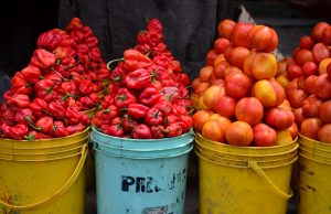 HortiNigeria fingers poor storage, seasonal harvest to fluctuating tomato cost