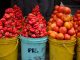 HortiNigeria fingers poor storage, seasonal harvest to fluctuating tomato cost