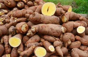NADF commits N2b to boost cassava production, seals deal with NCIA