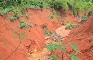 Foundation tackles erosion, land degradation in Gombe