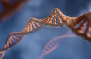Modern day eugenics or humanity’s survival?