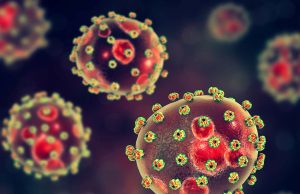 FG mulls five-year strategic plan to tackle Lassa Fever