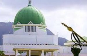 NASS to transmit report to Assemblies before December