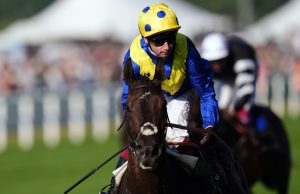 Never So Brave pounces to Summer Mile success