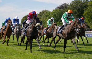 No Half Measures springs 66-1 July Cup shock | Racing News