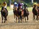 Today on Sky Sports Racing: London & The South in command as Racing League heads to Newcastle | Racing News