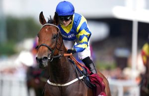Trueshan death: Hollie Doyle pays emotional tribute to ‘special’ horse following fatal injury at Goodwood | Racing News