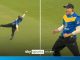 Catch of the season contender! Ward takes screamer for Sussex Sharks