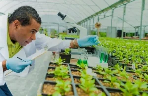 Biotechnology key to Nigeria’s growth, say experts at Umudike conference