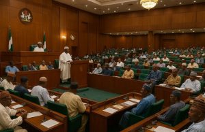 Suzan Aguiyi-Ironsi: Why Nigeria Needs Special Legislative Seats For Women Now