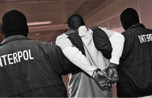 INTERPOL busts cybercrime networks across Africa in sting operation, recovers $97.4 million