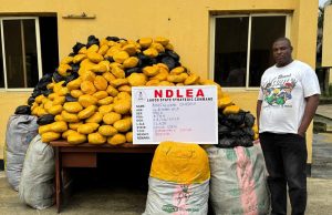 NDLEA arrests Lagos pastor over Ghana cannabis trafficking, seizes 3.4 tonnes of drugs nationwide
