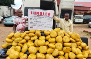 NDLEA nabs drug kingpin in Delta, seizes multi-billion naira narcotics nationwide