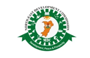 Youths commend NEDC, welcome e-transport scheme in Northeast