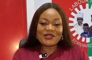 LP chieftain hails INEC for disqualifying Abure-led faction’s candidates