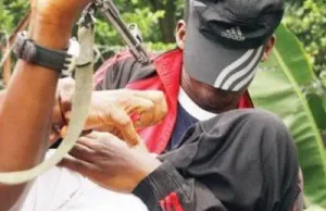 Kidnappers abduct FMC staff member in Ondo