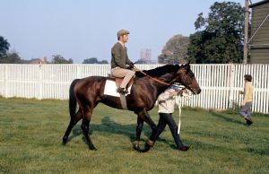 Geoff Lewis: Derby-winning rider of Mill Reef dies aged 89 | Racing News
