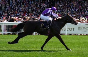 Today on Sky Sports Racing: Gstaad seeks Prix Morny glory at Deauville | Racing News